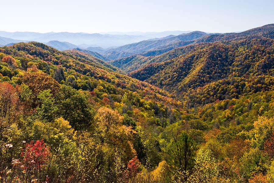 Tennessee - View of the Smoky Mountains During the Fall in Eastern Tennessee